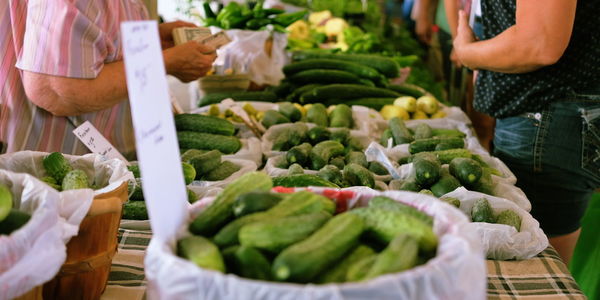 Buying cucumbers at a minneapolis farmers market