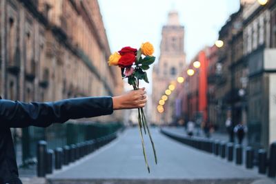 Cropped image of man holding plant in city