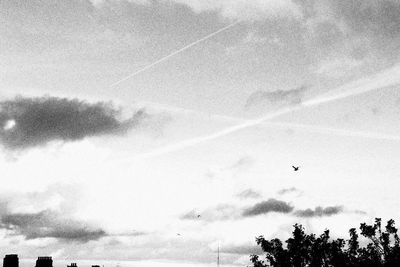 Low angle view of bird flying against sky