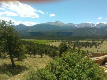 Scenic view of vineyard against sky