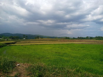 Scenic view of field against sky