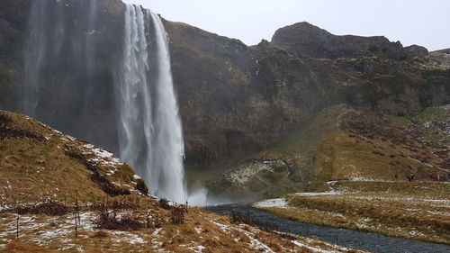 Scenic view of waterfall in forest