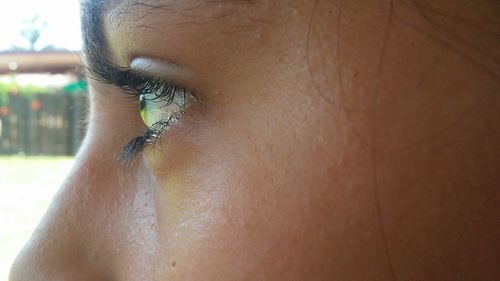 Close-up of woman eye