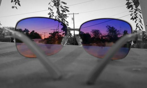 Reflection of trees on glass