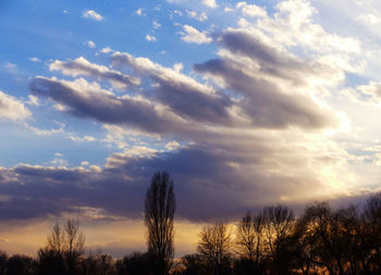 Low angle view of silhouette trees against sky during sunset