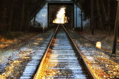 Railroad tracks amidst trees at night