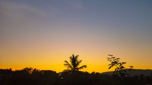 Silhouette trees against sky during sunset