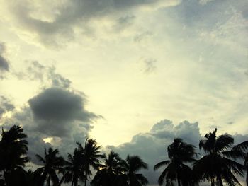 Low angle view of silhouette trees against sky
