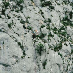 People rock climbing on rocky mountains