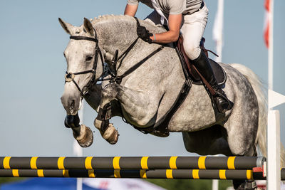 Horse jumping, equestrian sports themed photo.