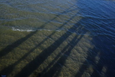 High angle view of shadow on water