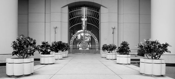 Plants against built structure