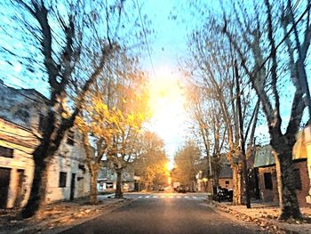 Street amidst bare trees against sky