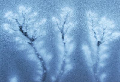 Full frame shot of icicles on blue sky
