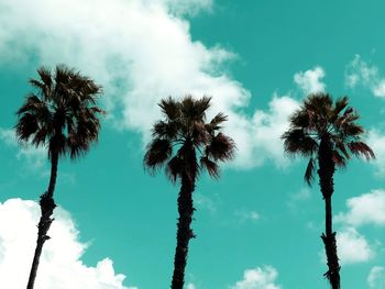 Low angle view of palm trees against sky