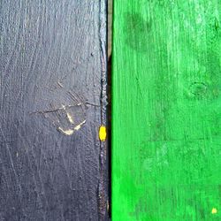 High angle view of green leaf on wood