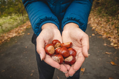 Men's hands full of chestnuts in autumn. delicacies of forest animals