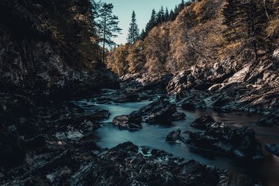 Scenic view of river amidst trees against sky during winter