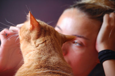 Close-up of cat looking away