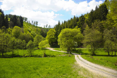 Scenic view of trees growing on field against sky