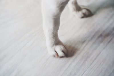 Close-up of wooden floor