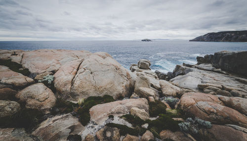 Scenic view of sea shore against sky