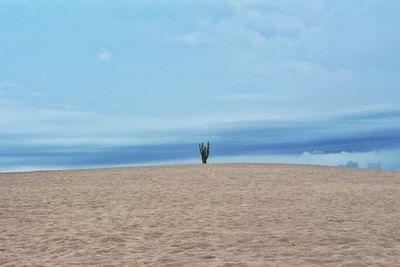 Sand dunes parangkusumo, destinasy of yogyakarta indonesia