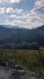 Scenic view of landscape against sky