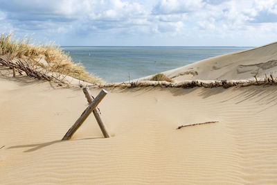 Nagliai nature reserve in neringa, lithuania. dead dunes, sand hills built by strong winds