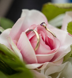 Close-up of rose bouquet