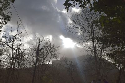 Low angle view of bare trees against sky