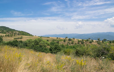 Scenic view of landscape against cloudy sky