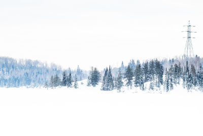 Scenic view of snow covered landscape