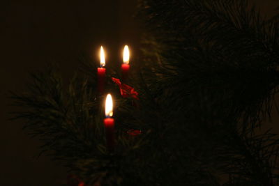 Close-up of illuminated christmas lights