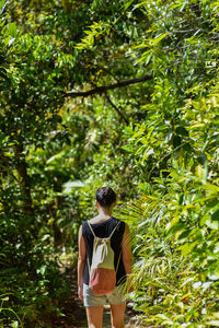 Rear view of young woman standing against trees