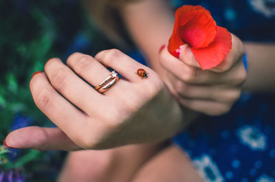 Close-up of woman hand holding red flower
