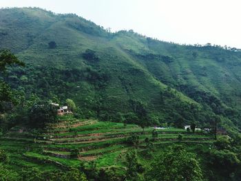 Scenic view of landscape