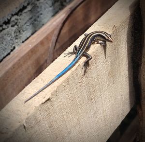 High angle view of old metal railing against wall
