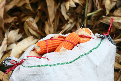 Close-up of corn