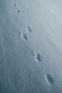 High angle view of footprints on snow