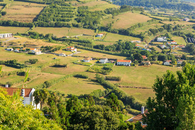 High angle view of trees and houses on field