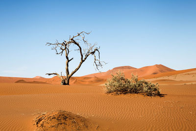 Scenic view of desert against clear blue sky