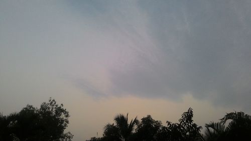 Low angle view of silhouette trees against sky