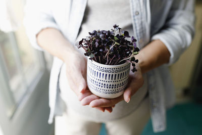 Hands of woman holding red radish sprouts at home