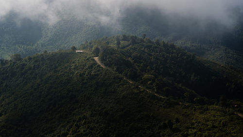 High angle view of trees and mountains during foggy weather
