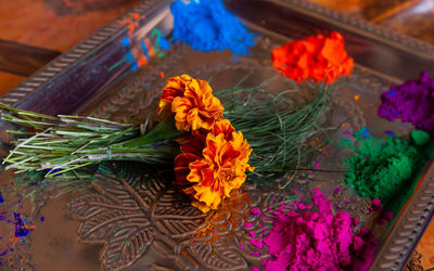 High angle view of multi colored flowering plants