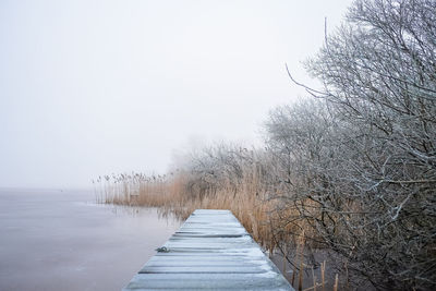 Boardwalk by bare trees over lake during winter