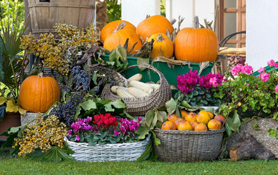 Fruit and flower arrangement in a garden