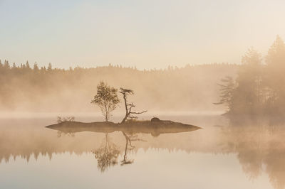 Small island with trees on a misty lake