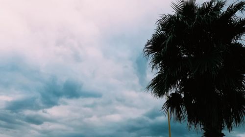 Low angle view of silhouette palm trees against sky